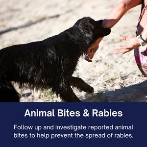 Environmental Animal Bite 1_300